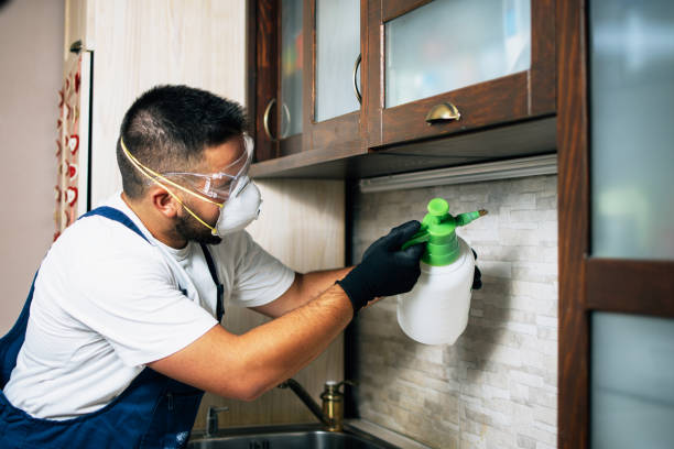 Best Residential Pest Control  in Pleasanton, CA
