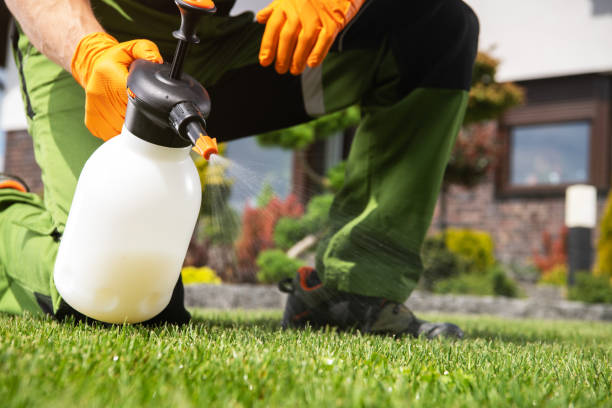 Best Cockroach Control Services  in Pleasanton, CA