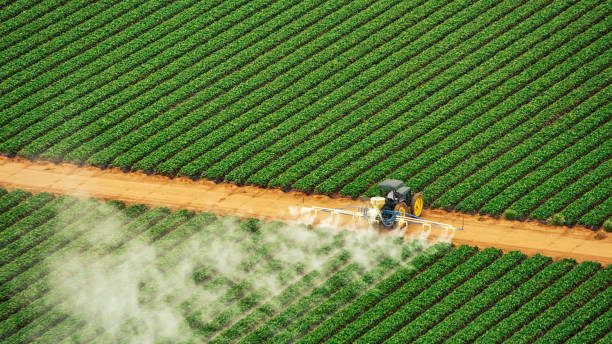 Reliable Pleasanton, CA Pest Control Solutions