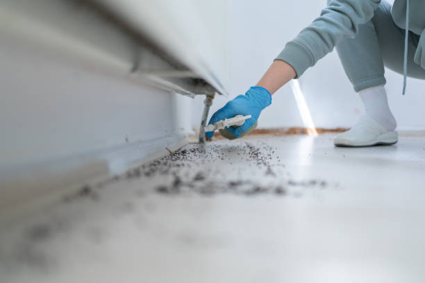 Best Bed Bug Extermination  in Pleasanton, CA