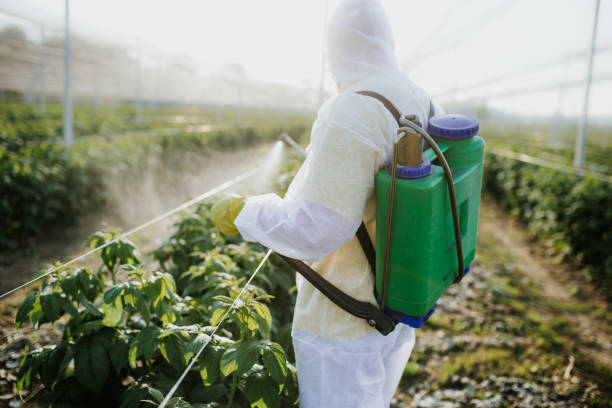 Best Pest Removal Services  in Pleasanton, CA